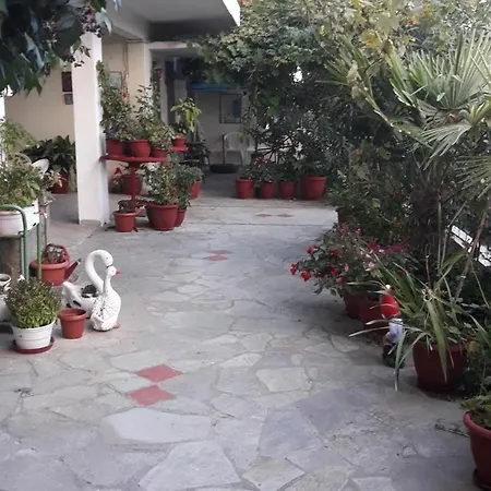 Aris House Apartment Paralia Katerinis Exterior photo