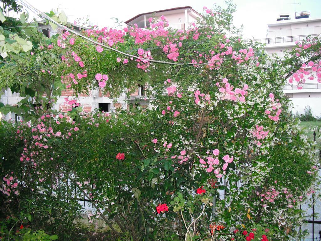 Aris House Apartmán *